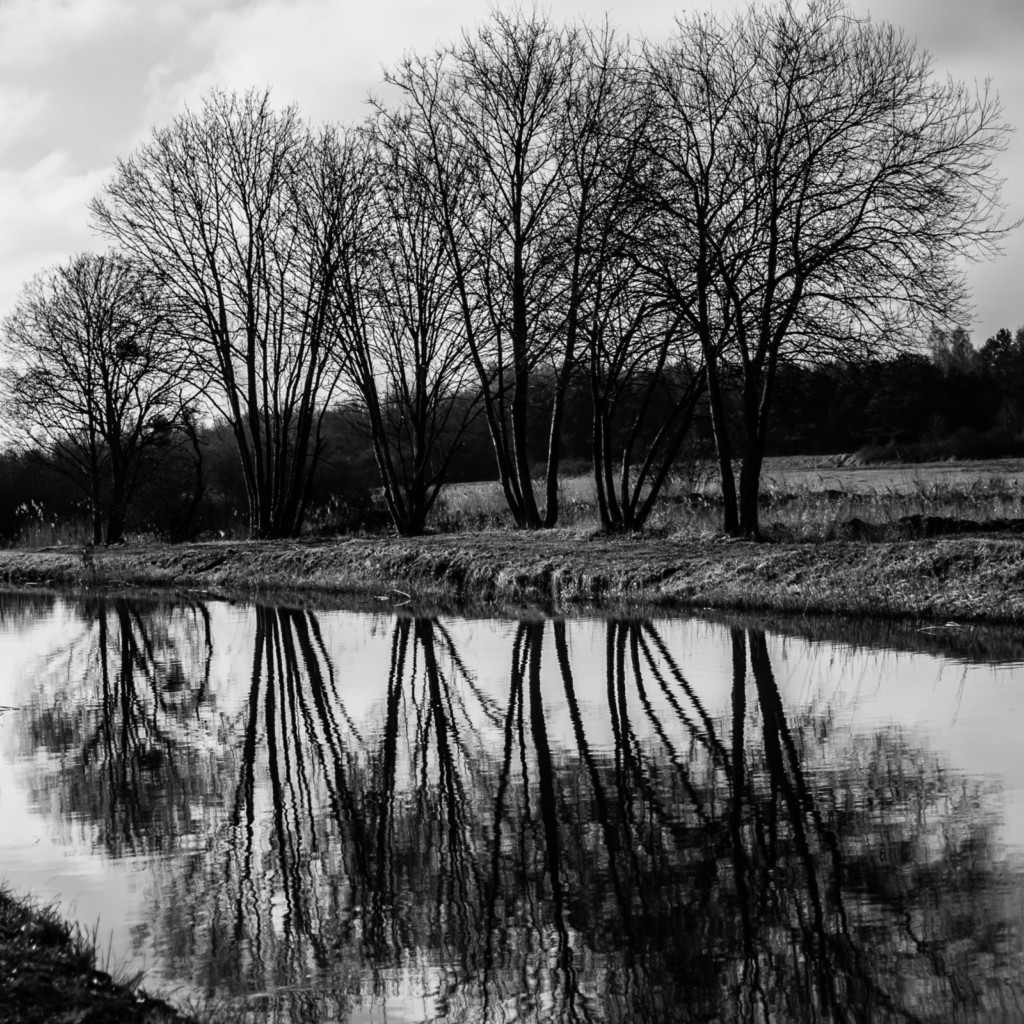 ART PHOTO MIRROIR