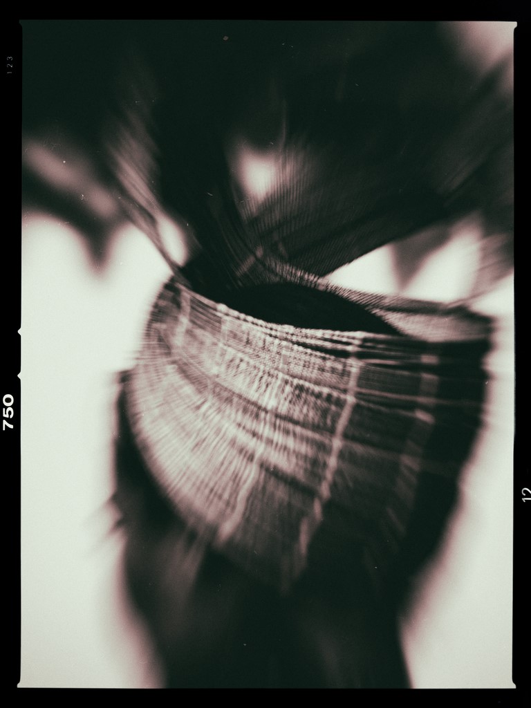 ART PHOTOGRAPHY KOPFSCHMUCK