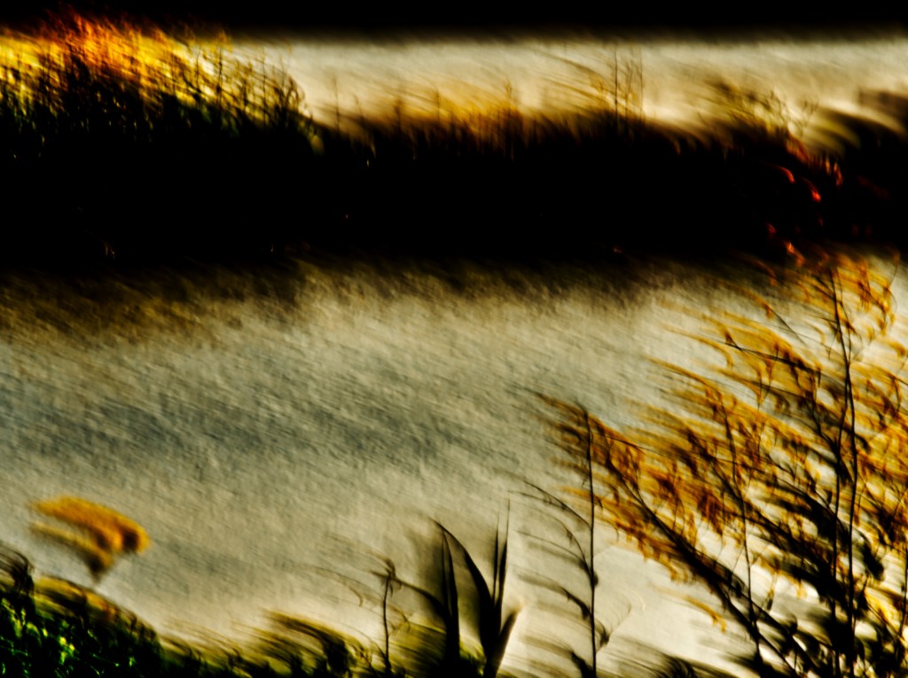 ART PHOTOGRAPHY IM MARAIS