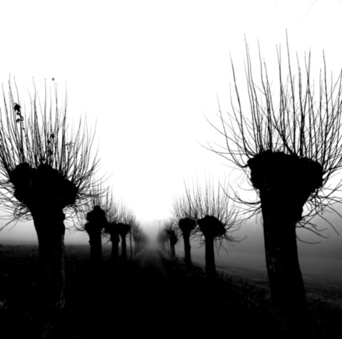 ART PHOTO GRAEFINTHAL