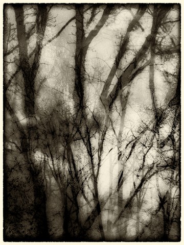 ART PHOTO BROUILLARD