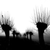 ART PHOTO GRAEFINTHAL