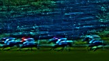 ART PHOTOGRAPHY THE RIDERS