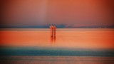 ART PHOTOGRAPHY GIRONDE TEMPLE